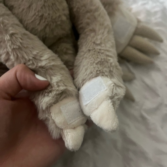 mom and baby costa rica sloth - Picture 5 of 5